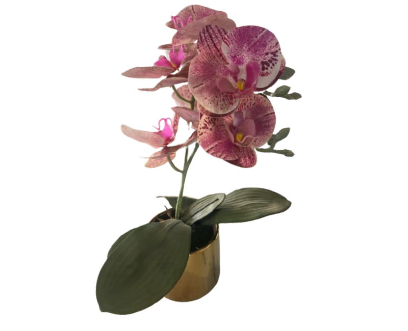 Pink Orchid Plant Decor